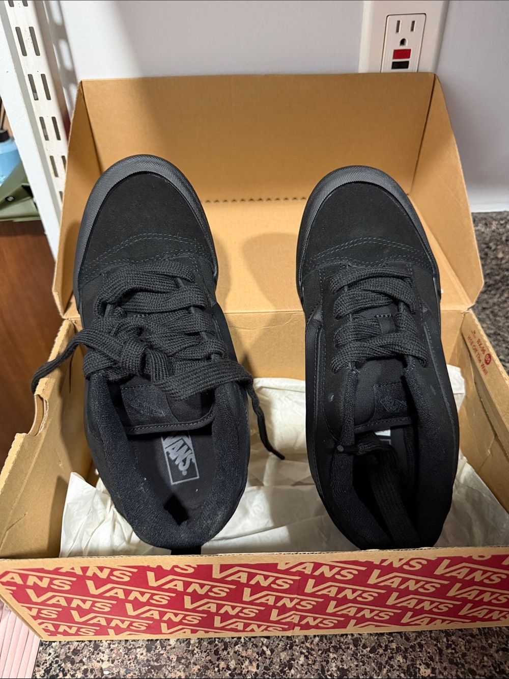 Vans Men's All-Black Low Top Skate Sneakers